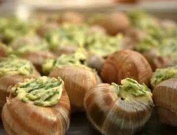 Escargots de Bourgogne