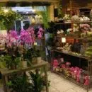 Fleuriste boutique