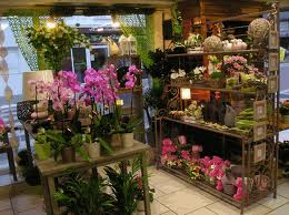 Fleuriste boutique