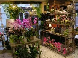Fleuriste boutique