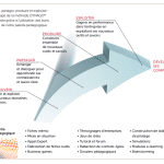 Valoriser son CV avec une formation