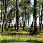 Rendez-vous dans les Landes à Biscarrosse