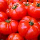 tomates