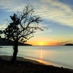 Quelles Activités Faire en Guadeloupe ?