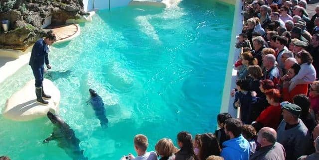 aquarium-biarritz