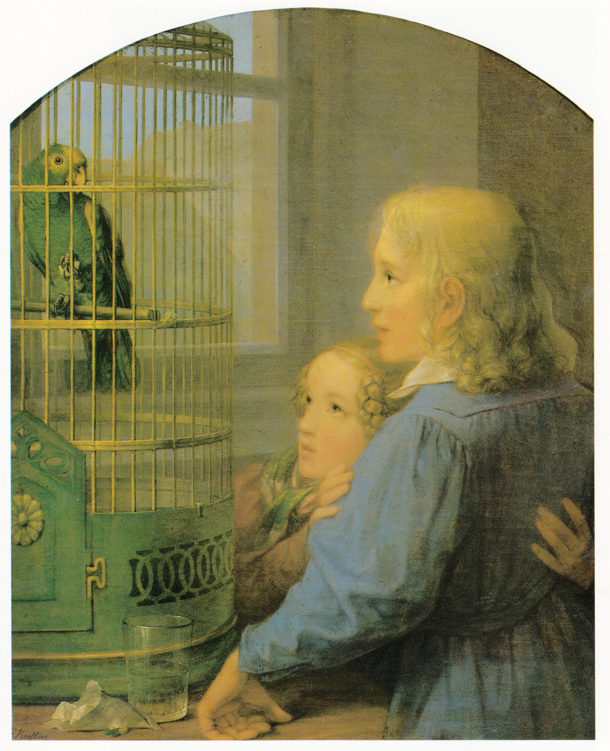 cage perruche