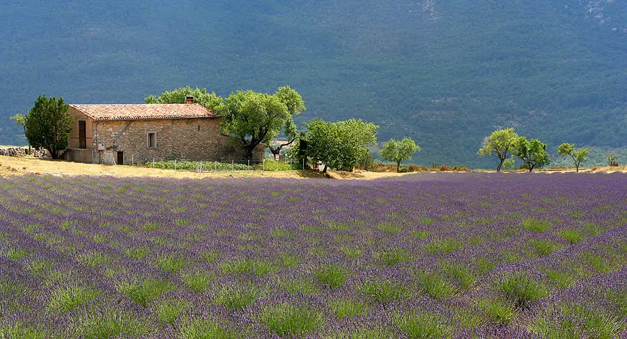 mas provençal