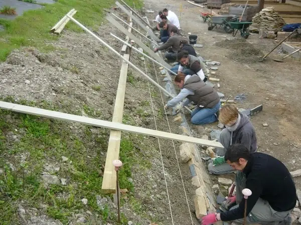 Quelle formation pour devenir jardinier paysagiste ?