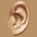 test auditif