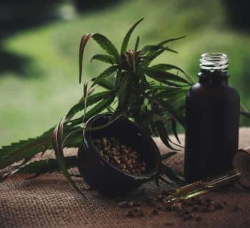 Acheter de la résine de CBD à 12 euros le gramme