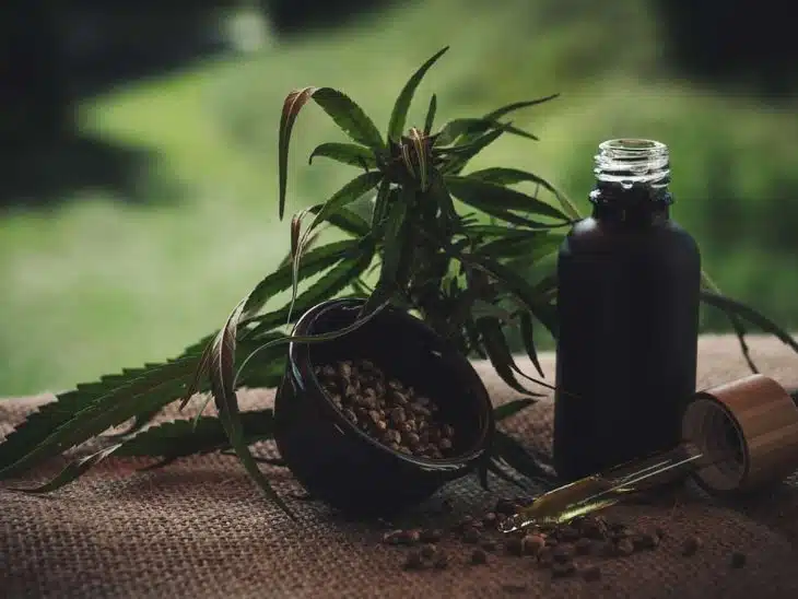 Acheter de la résine de CBD à 12 euros le gramme