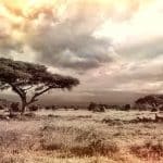 À l’assaut d’une destination protectrice de la vie sauvage, Botswana
