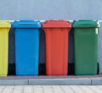 Découvrez l'importance du recyclage