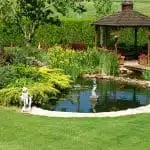 Bassin de jardin, la grande tendance de cet été pour votre jardin