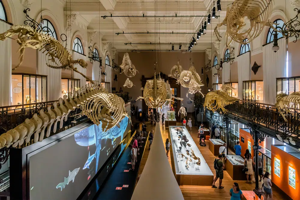 musee oceanographique monaco