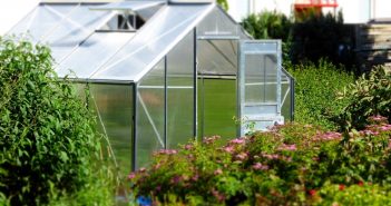 Serre de jardin : assouvir sa passion du jardinage serre de jardin