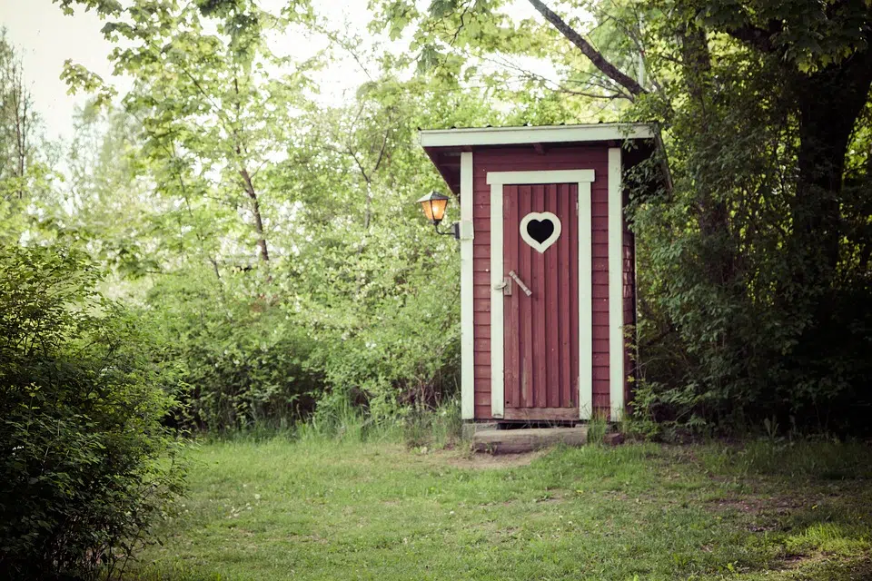 Toilettes sèches ou toilettes traditionnelles?